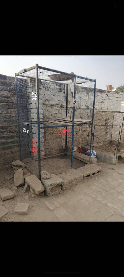 cage for sale