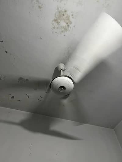 3 fans just like new condition excellent