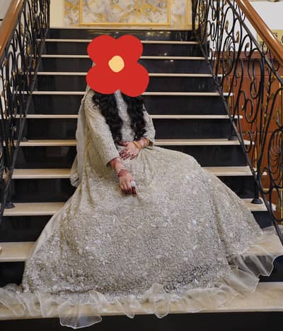 Walima dress / Maxi / Dabka work / Net / Zari