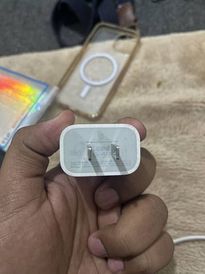 Apple Original 20 Watt adapter + original Charging cable