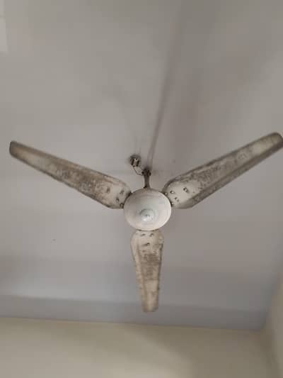 ceiling fan for sale