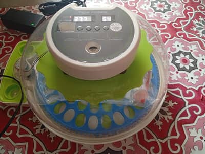 Eggs Hatching Incubator ac and dc dualانڈوں سے چوزے نکلا لنے والی مشین
