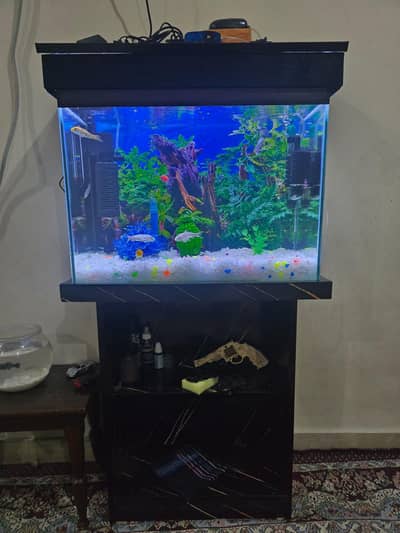 Beautiful 2ft Glass Aquarium with Designer Stand & Lighting
