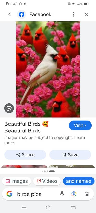 work available at hom