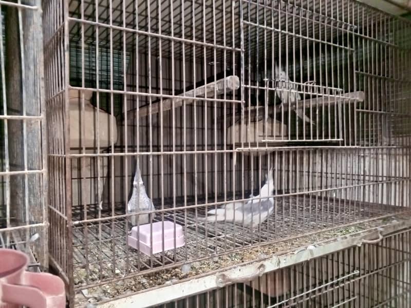 cocktails java variety running setup 7