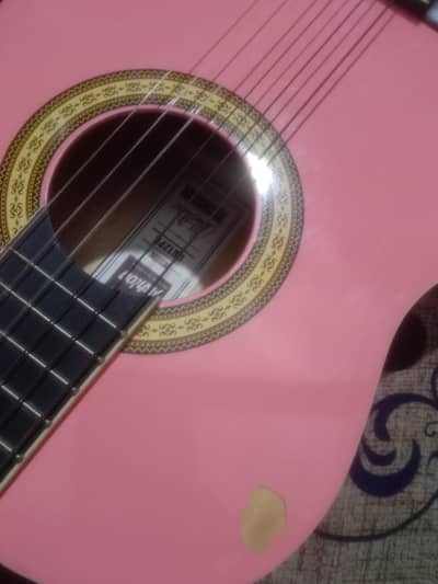 Ashton Nylon guitar (03112431121)