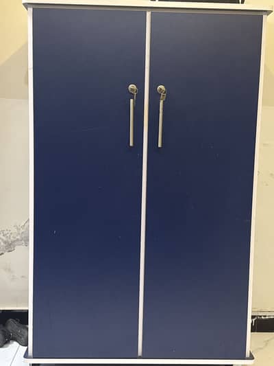 Blue colour fully spaced wardrobe for baby’s