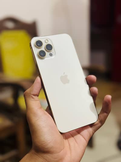 iphone 12 pro max (Golden Colour)