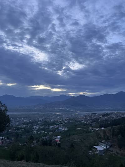 Looking for a job Opportunity