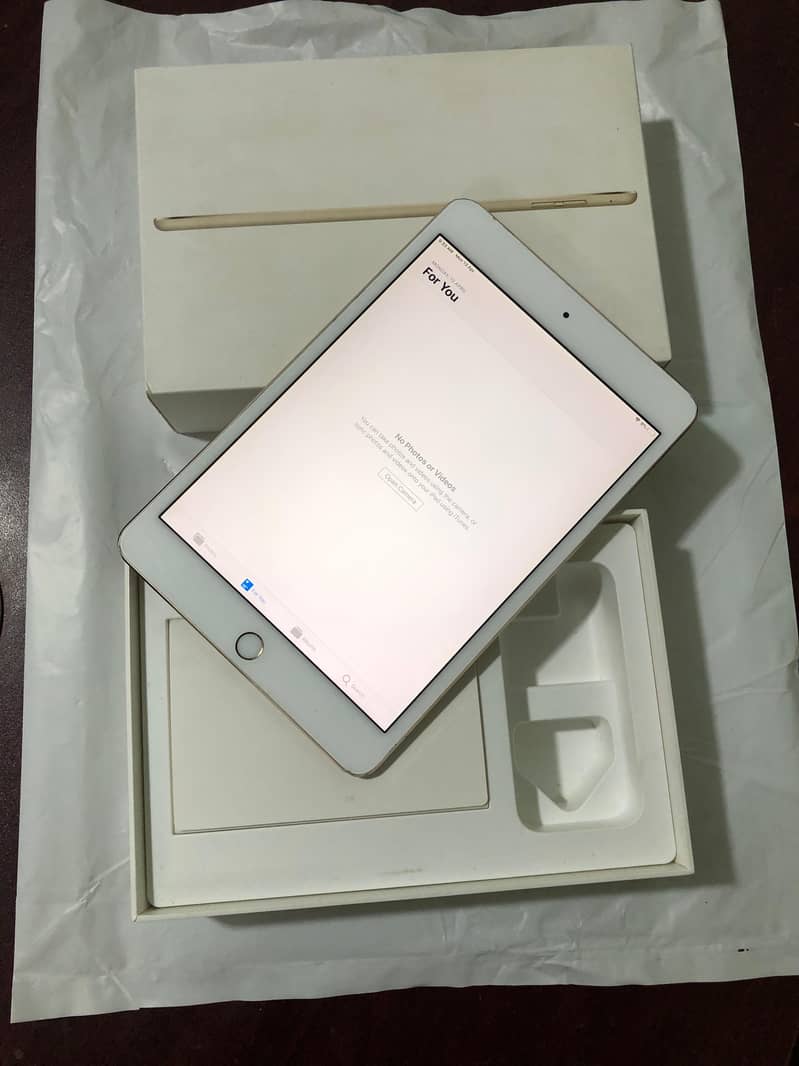 Ipad mini 4 7