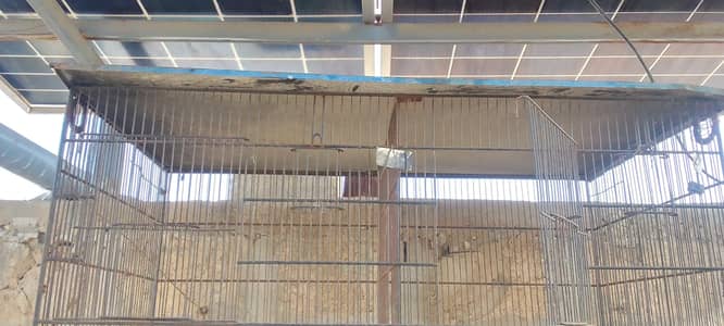 Cage. for hens birds