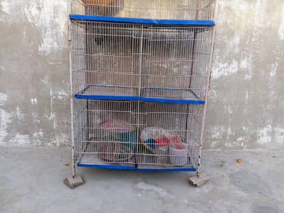 cage of parrots
