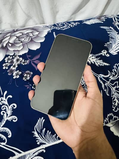 Iphone 12 pro max non pta