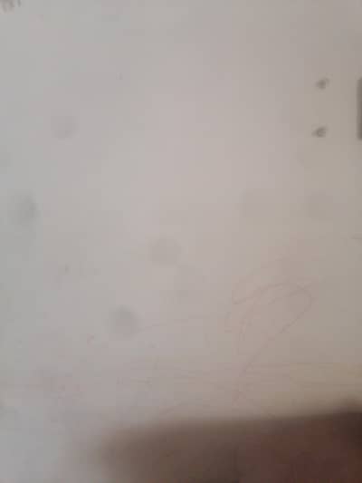 bahadurabad mai restaurant k lye anvster dak hai