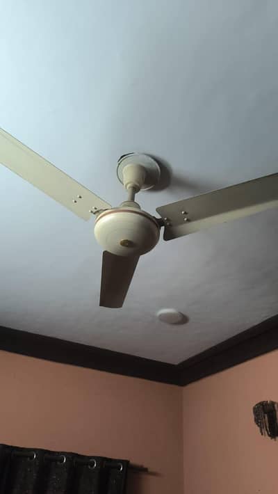 Parwaz Fan Original Copper 56 size