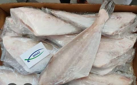 Fresh fish 5 kg carton available 03471236779