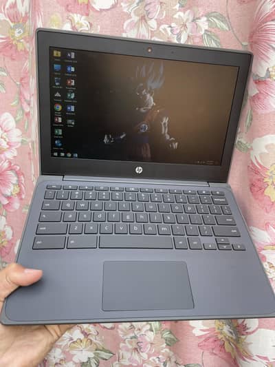 HP Laptop