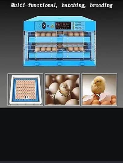 Incubator