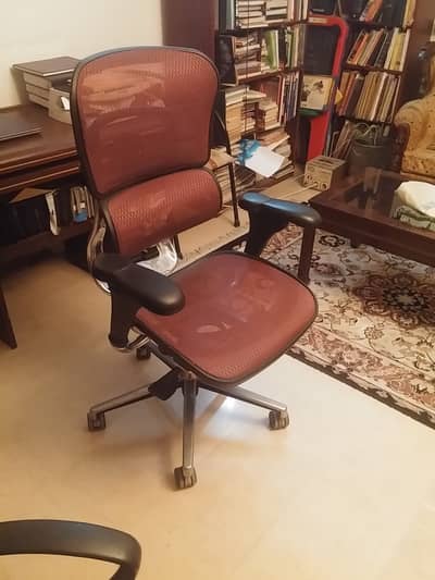 Ergohuman office chair