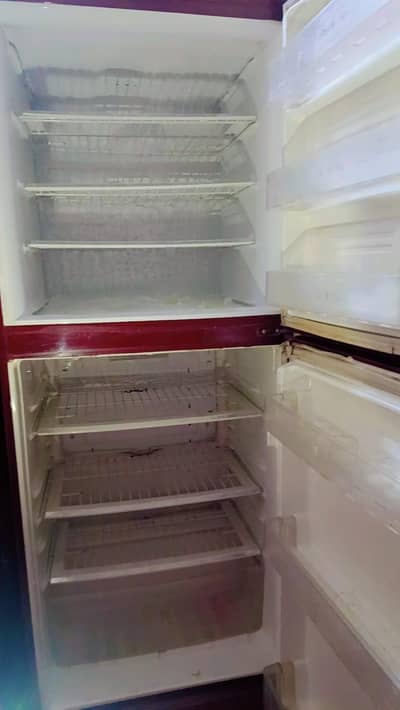 pell refrigerator with warranty card