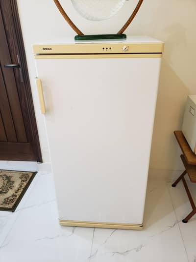 Freezer upright imported