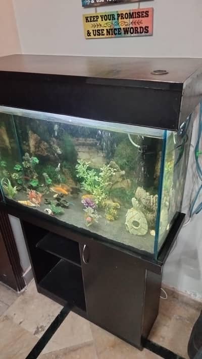 Aquarium for sale