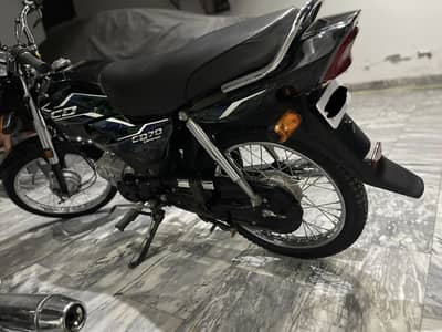 Honda 70 Cd dream 2025