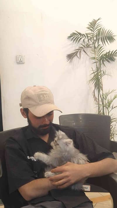 Rana Mashhood