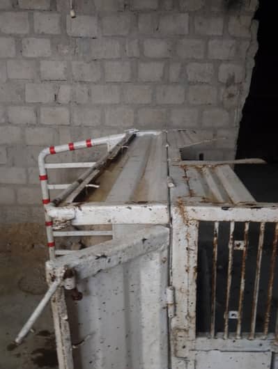 Dala Suzuki ka jes Bhai ko chahi oo Whatsapp par Rab the 03010081101