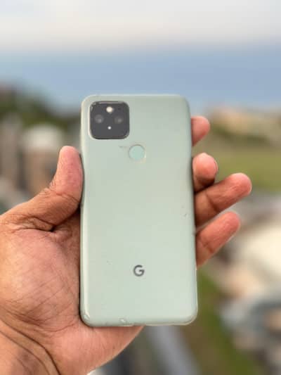 Google Pixel 5 Dual Sim Online