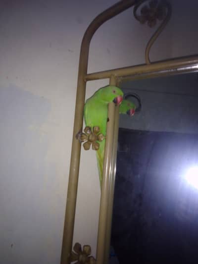 full cover ha finger pe bath ta hai