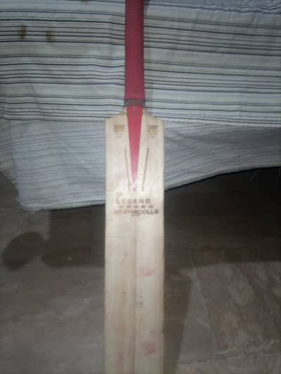 Cricket bat