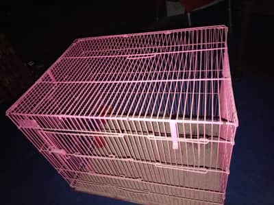 Pinjra  Cage for sale good condition