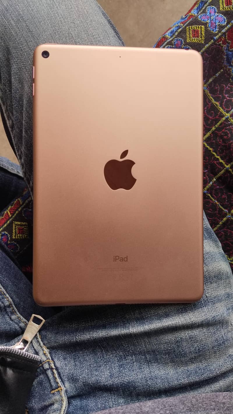 Ipad Mini 5 0