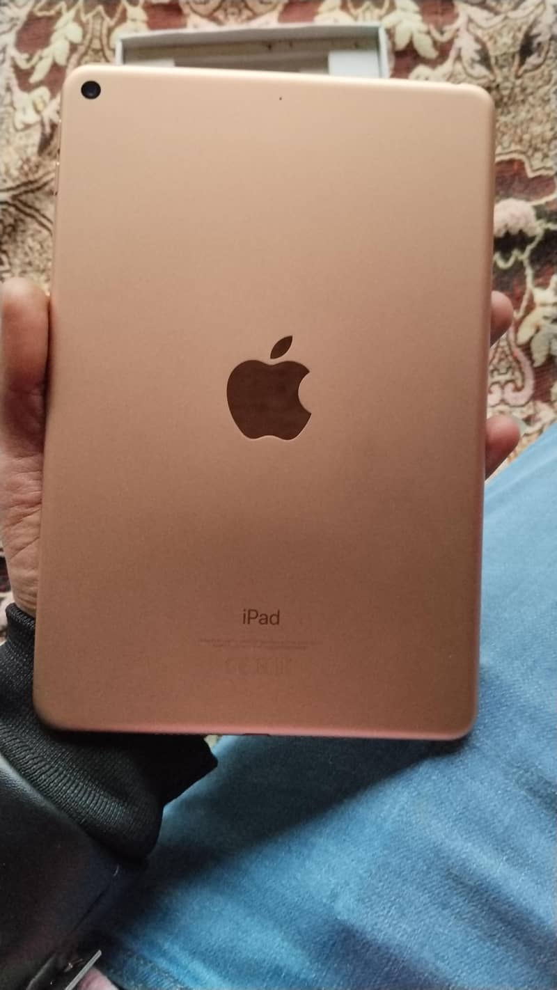 Ipad Mini 5 7