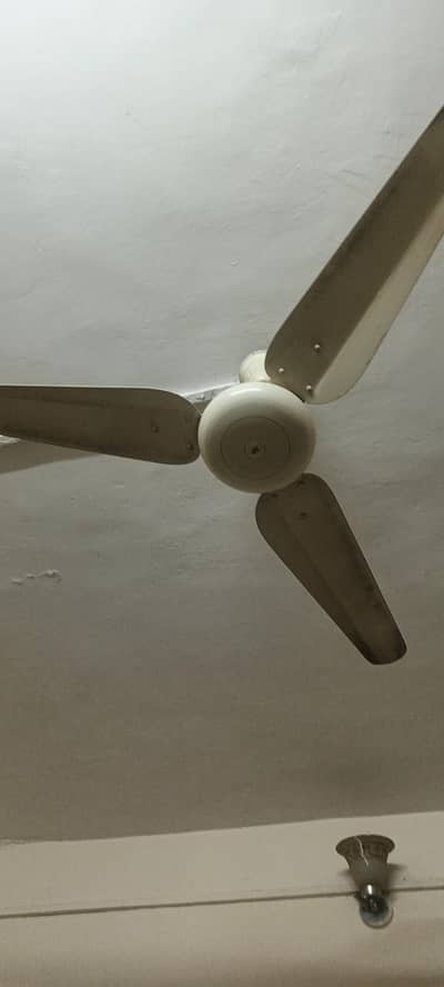 ceiling fan 4