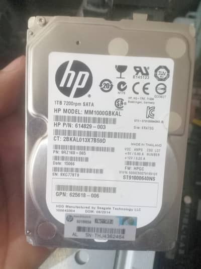 HP 1TB HARD   with movies DATA