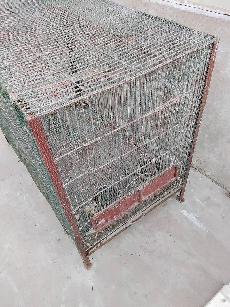 saff sotar Hy kahi sa totwa ni 1