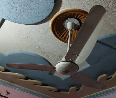 56 inch celling fan