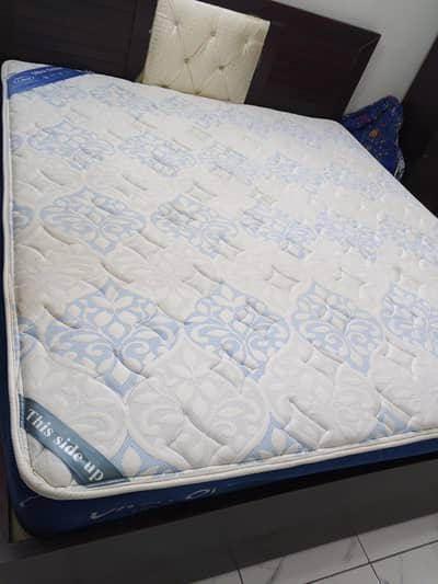 master Celeste ultra ortho