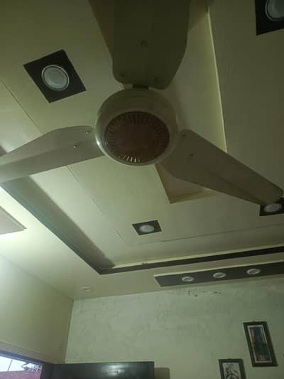fan for sale royal fan  not open repair 100% copper