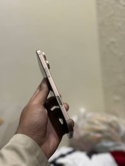 16 Pro Max Dual Physical