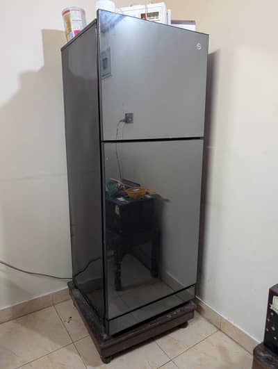 Pel Glass Door Refrigerator