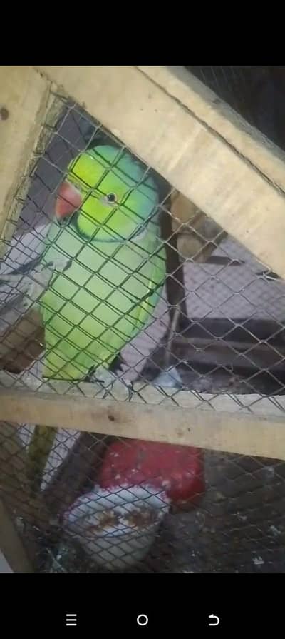 seti marta ha jb dil kary