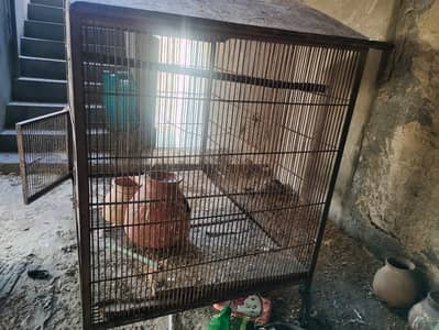 fix price Double Storey Bird Cage for Sale OLX chat par message kari
