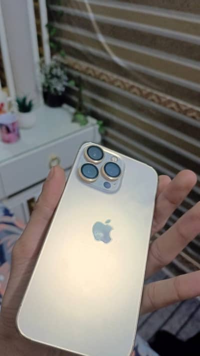 Iphone 13 pro 256 GB Gold PTA Approved Dual sim