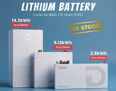 DYNESS Littium battery