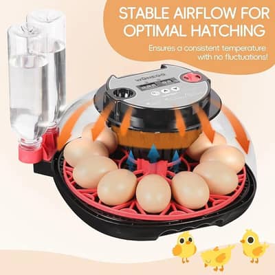 Egg Incubator 12 eggs | Fully Automatic Incubator | Dual Power