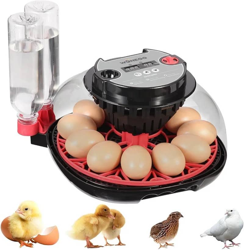 Automatic Egg Incubator | Egg Hatching Machine | Incubator | Brooder 4