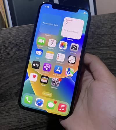 Apple iPhone X